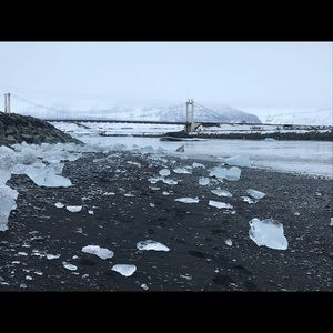 Meet your Posher, Dylan